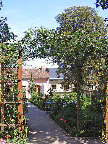 Garten vom Kirms Krackow Haus Foto 
