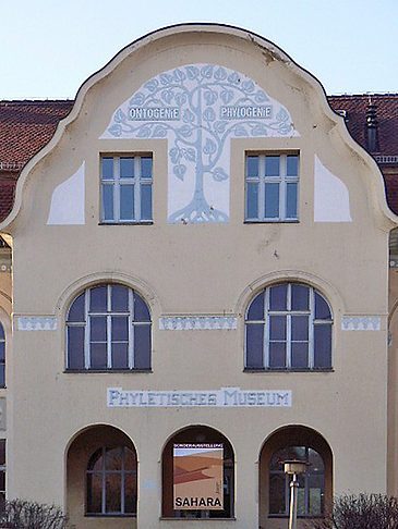 Phyletisches Museum Foto 