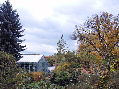 Foto Botanischer Garten