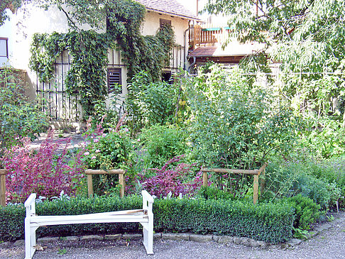 Fotos Garten vom Herderhaus