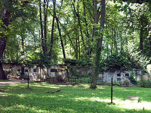 Historischer Friedhof Foto 